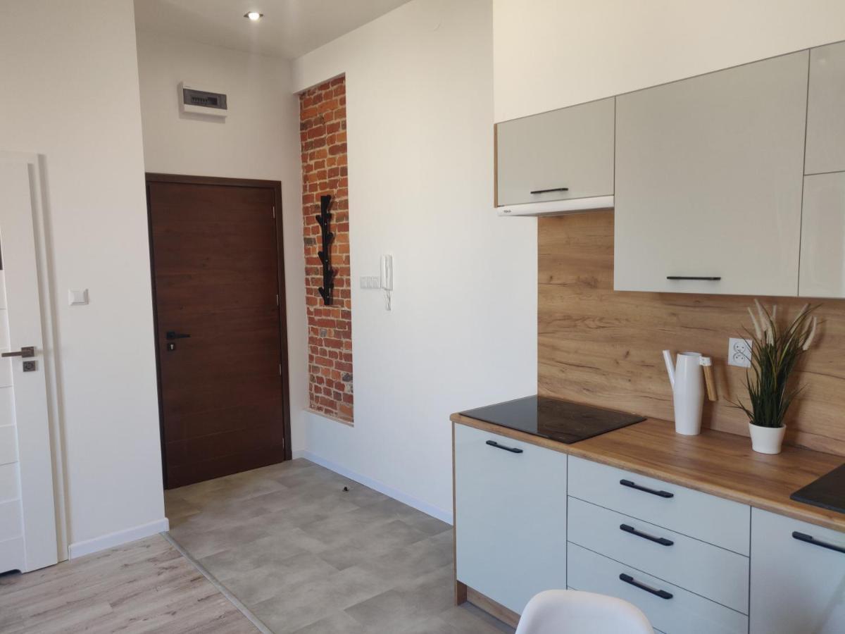 Konopnickiej 9 Apartament Loft Dostep Na Kod, Ptak, Orientarium, Atlas Arena, Szpital, Mandoria, Fala, Centrum Zdrowia Matki Polki, Rodzina, Family, Bezplatny Parking Pabianice Extérieur photo